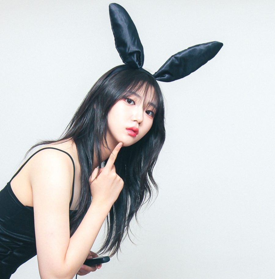 비비드 색감 예시